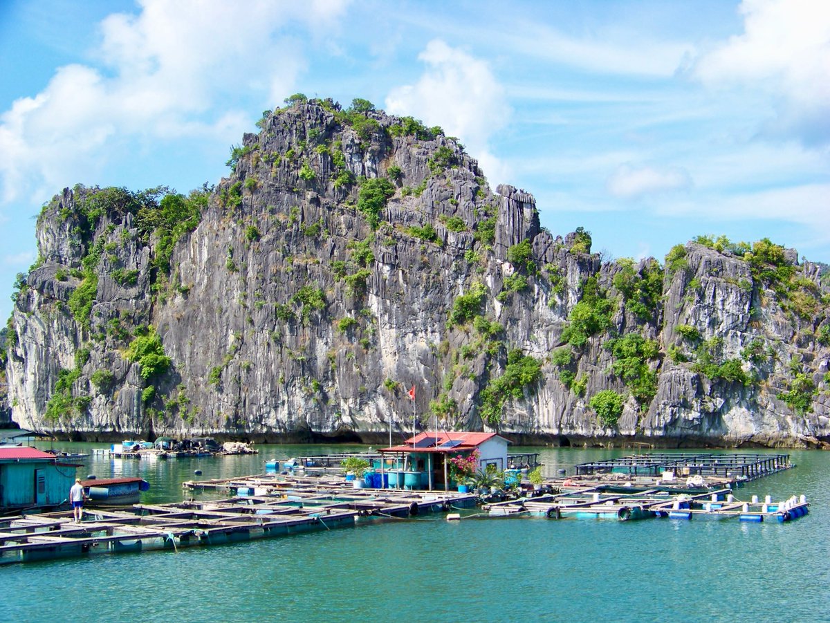 JamieySLevyRbl's tweet photo. Lan Ha Bay was insanely beautiful, with views that felt straight out of a movie. Fewer boats, a great cruise, delicious lunch, and a fascinating floating village. Such a beautiful day. https://t.co/jcyLp3y2dR