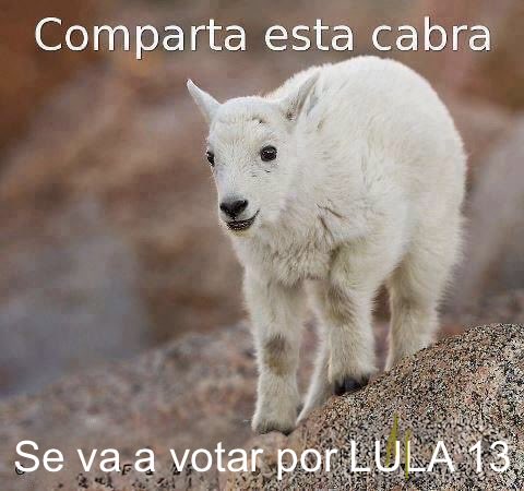 linfocito_'s tweet photo. https://t.co/RjvVDvqOQX