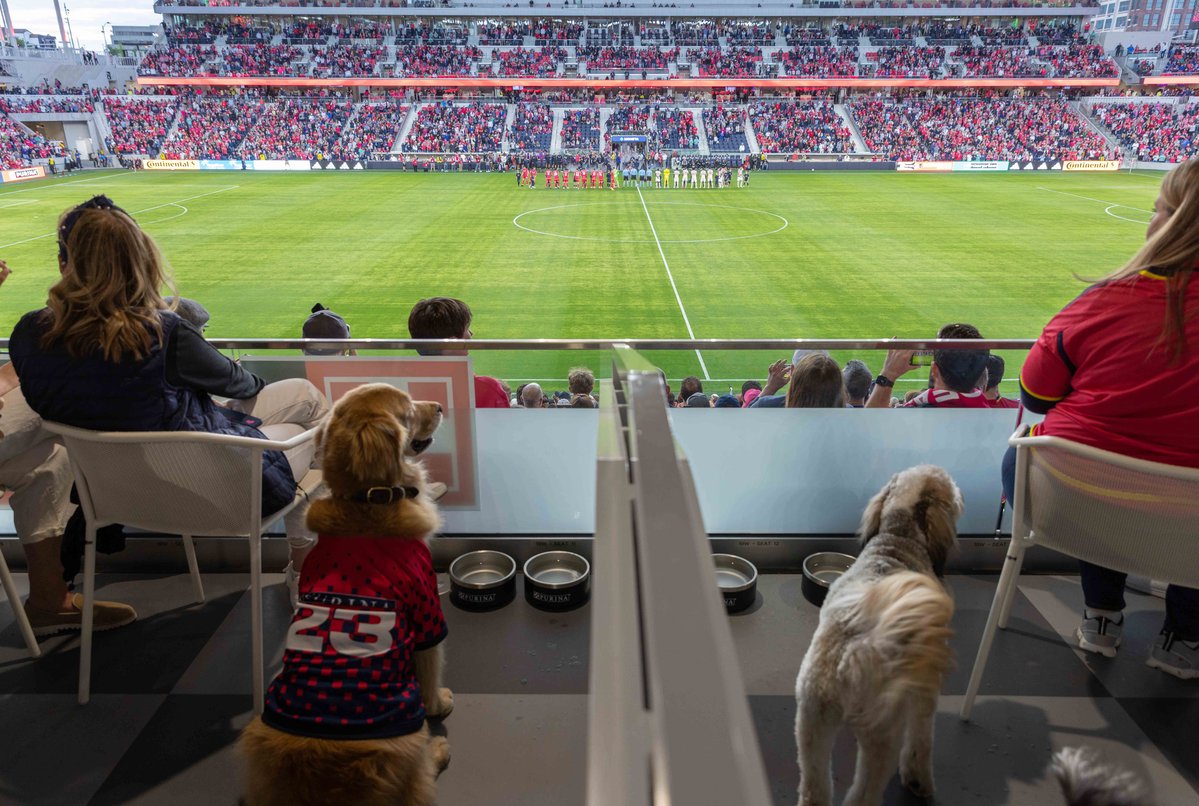 EmanueleGarau's tweet photo. Negli USA, nel 2023, un club di calcio ha creato un settore dedicato ai tifosi che vogliono assistere alle partite insieme ai propri cani. Una bella iniziativa, replicabile anche altrove, purché si tenga conto del benessere degli animali e dell’impatto del rumore. https://t.co/EaNdbEQU8D