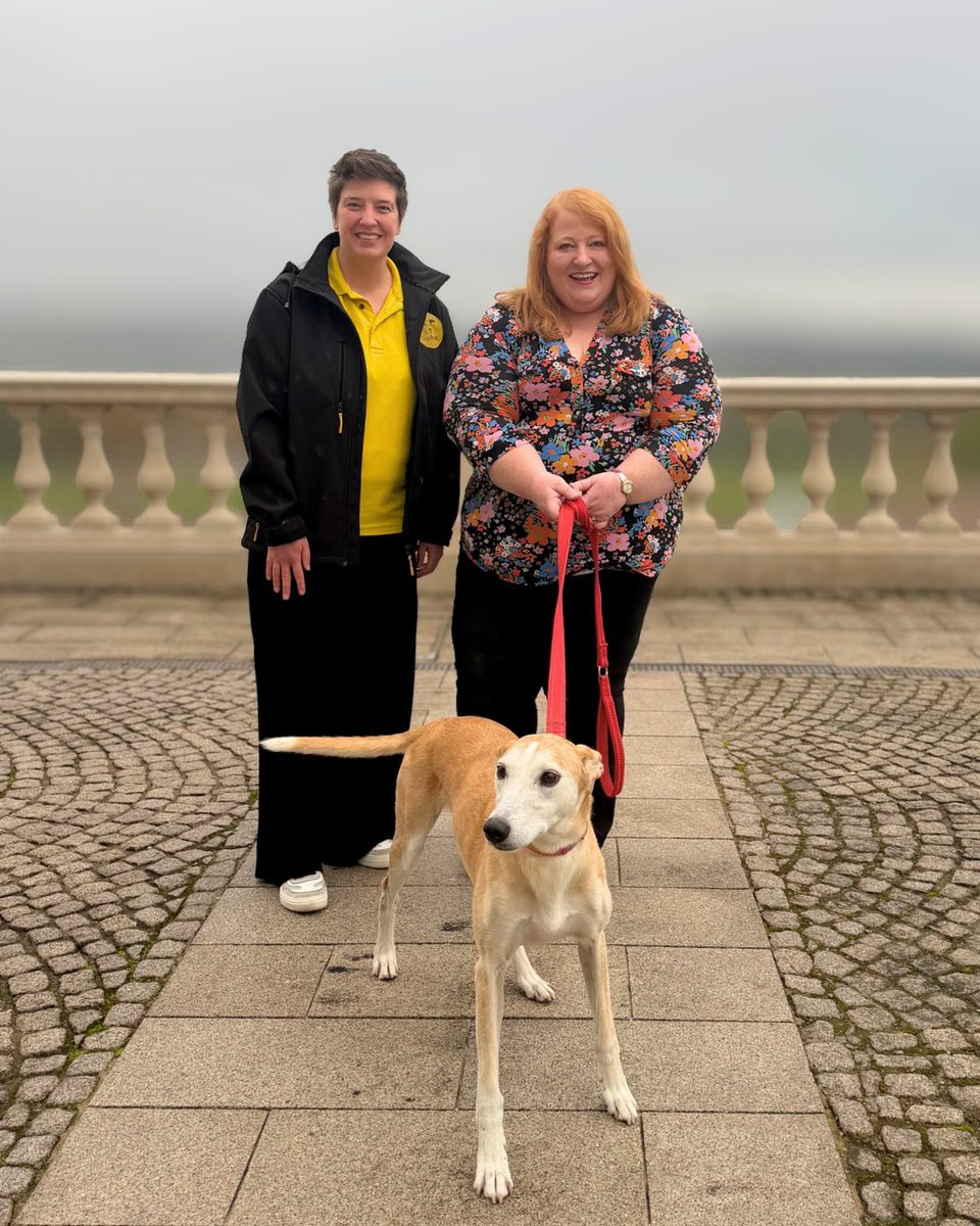 Justice_NI's tweet photo. 🎆Enjoy fireworks this Halloween, but think of neighbours, vulnerable people, pets and livestock. 

✅Choose organised displays 
✅ Let people know in advance 
✅ Consider low-noise fireworks

➡️https://t.co/K9dMggDNmD 

➡️https://t.co/cVUMs3TD53  @DogsTrust https://t.co/jxm55tHOpP