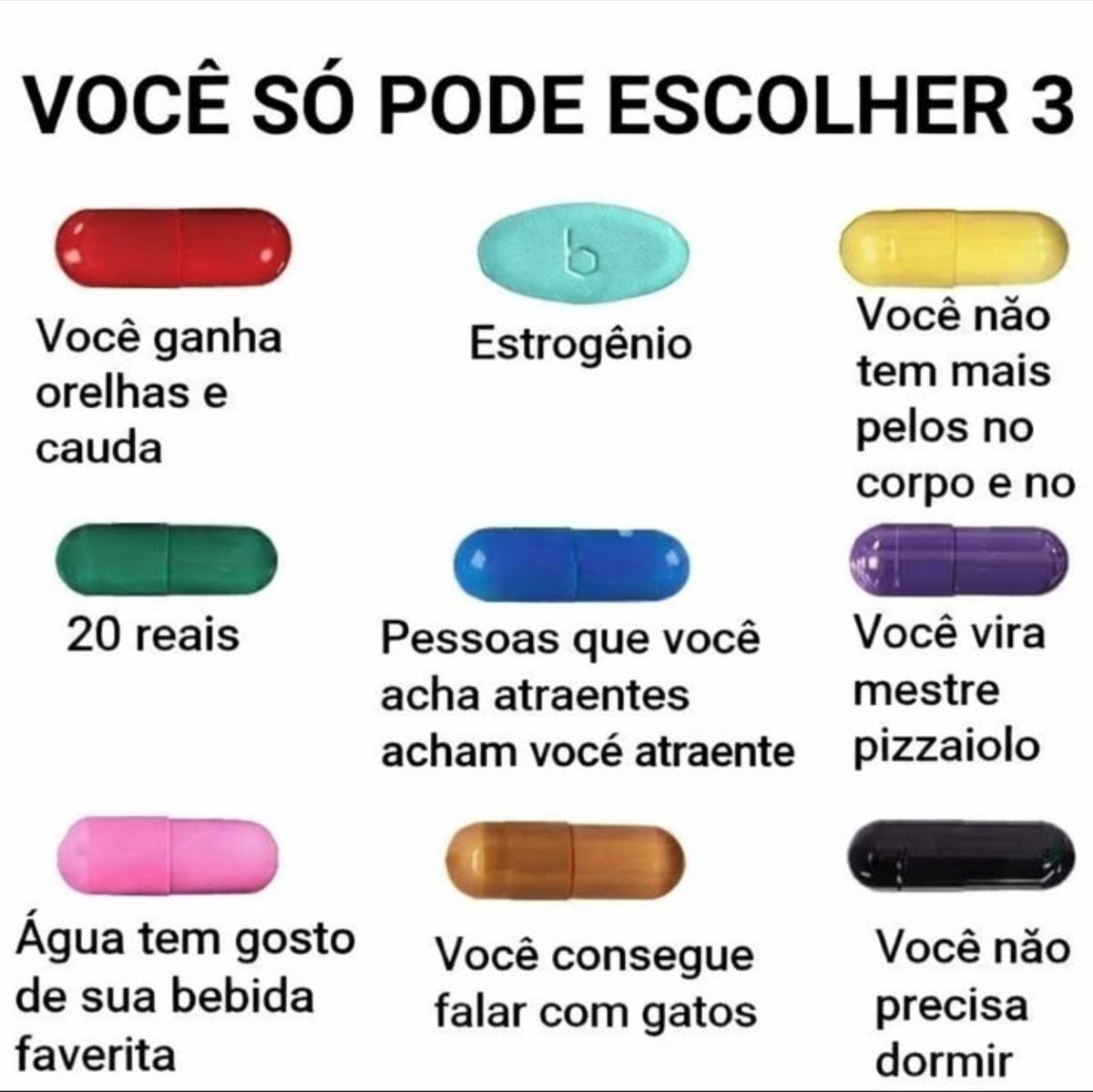 lwnzzn's tweet photo. mds eu super falaria com gatos mds https://t.co/03Iq8K49gF