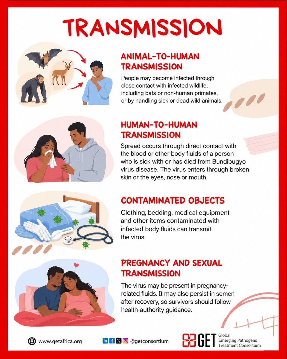 GETConsortium's tweet photo. 🔺Bundibugyo Virus Disease: Know the Facts!

How does it spread, and how can we prevent transmission? Awareness and early detection are vital.

📖 Read more: https://t.co/YcwxabZJ2k https://t.co/7oUCxsTNFN