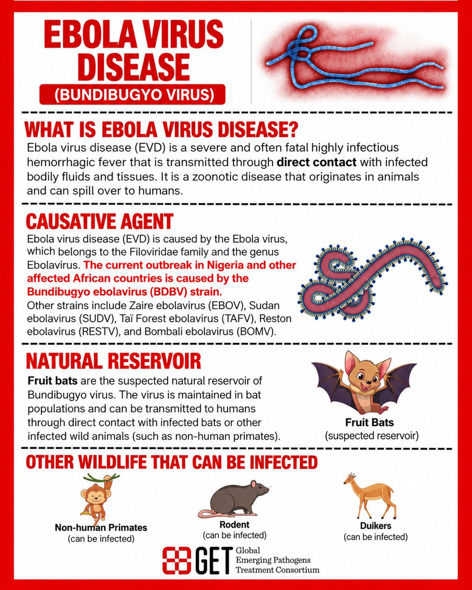 GETConsortium's tweet photo. 🔺Bundibugyo Virus Disease: Know the Facts!

How does it spread, and how can we prevent transmission? Awareness and early detection are vital.

📖 Read more: https://t.co/YcwxabZJ2k https://t.co/7oUCxsTNFN