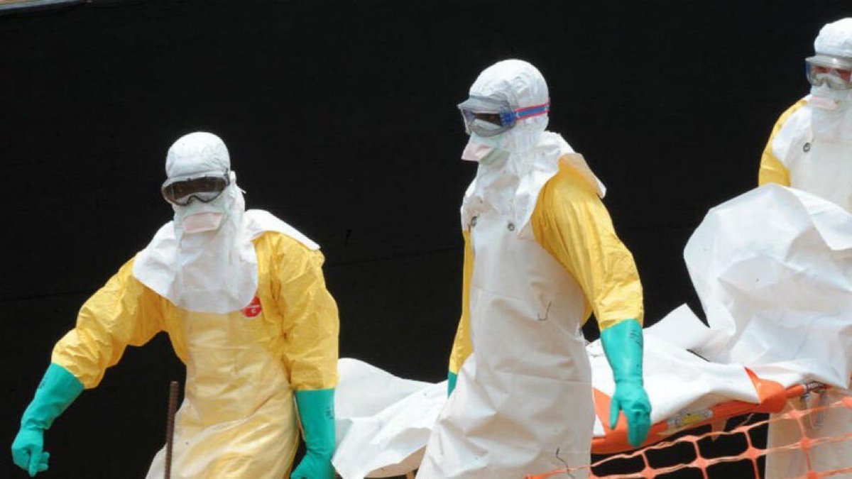therealbuni's tweet photo. En francia se acaba de morir el primer humano contagiado del virus shamonda (igual estaba imunodeprimido)

Se creia que el bicho solo atacaba al ganado y se transmite por jejenes

Se descubrio en nigeria ahi por los 60 y recien en 2026 llego a Europa 
Porque sea? Jsjs https://t.co/E6MBXHGEDZ