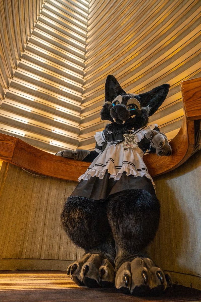 RockySheperd's tweet photo. RockySheperd's 50 Favorite @MoreFurLess Fursuiters of 2026

#26- @coalthewolf 

📷- @KooperShiba 

🌎- Furry Weekend Atlanta 2024 https://t.co/1TNgJqAgEX