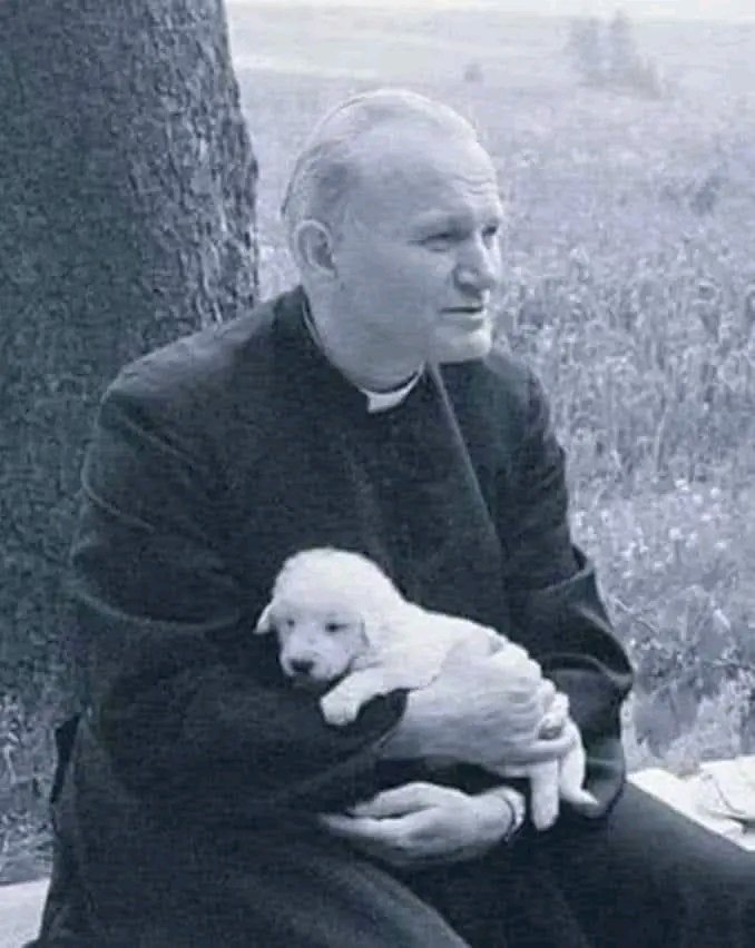 DouayRheims1's tweet photo. 22nd OCTOBER: ST JOHN PAUL II, POPE

https://t.co/lRJbKX49Ms https://t.co/Hm2KK86MLS