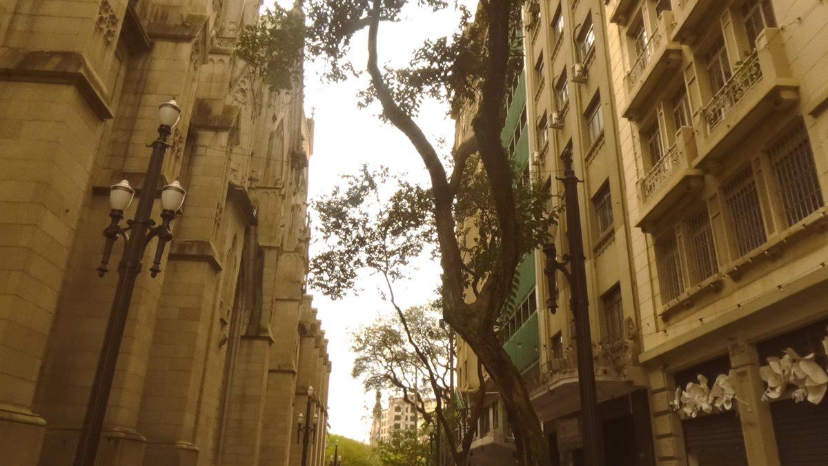 oceanmoondies's tweet photo. centro de são paulo 📹 https://t.co/YxZbwwlltM