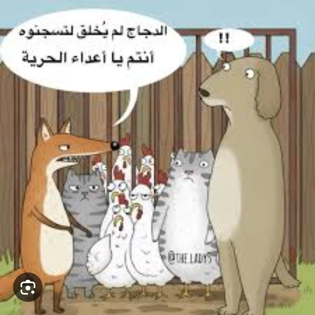 salmukaimy tweet picture