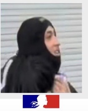 Anne_deProvence's tweet photo. Pourquoi les pilleurs et agresseurs sont-ils presque tous arabes et musulmans ? 
#17octobre2026 https://t.co/VA7VDZ15jl