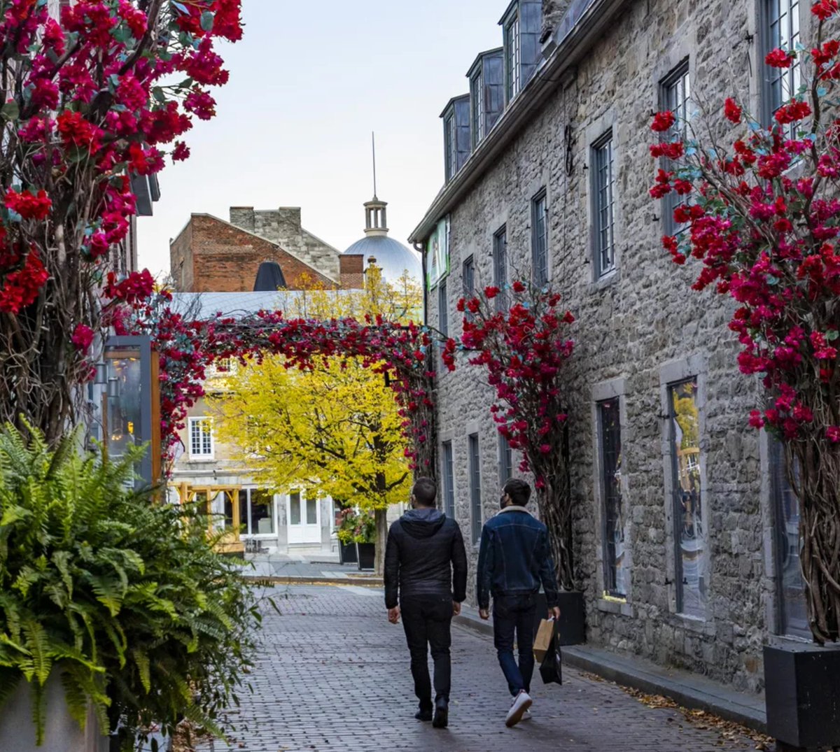 Monmontreal's tweet photo. L’automne à Montréal, ça se savoure aussi à deux!

Escapades romantiques, bonnes tables et sorties culturelles, la métropole a tout pour vous faire tomber sous son charme. ❤️ Découvrez nos idées pour une escapade en duo, https://t.co/vVRgiV6S60

📷 @evablue #Montréal #MTLmoments https://t.co/c0B9Ee5yyg