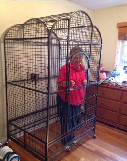 thebadsIeepwell's tweet photo. @cineworld @ODEONCinemas announce Dune 1 + 2 rereleases or my nan stays locked in https://t.co/VUxVaSQeb2