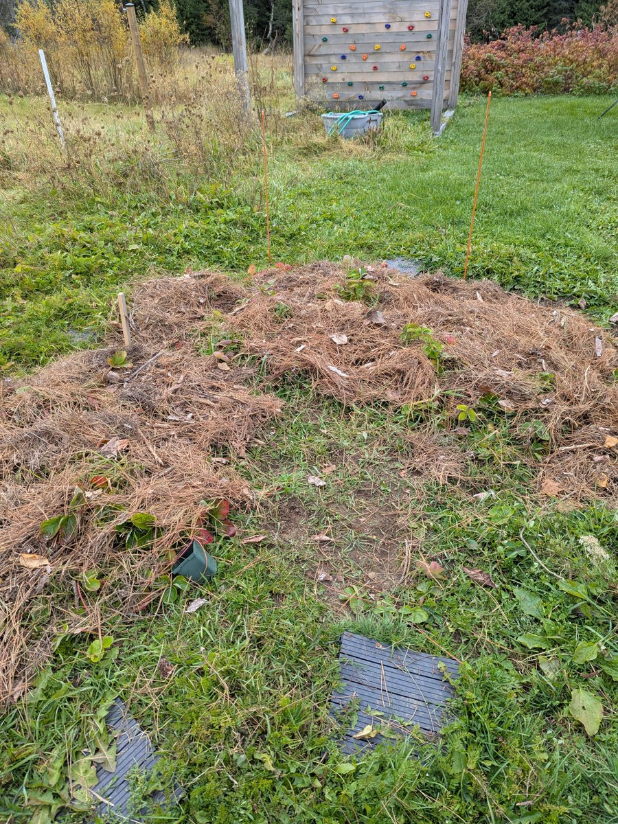FullstackFellow's tweet photo. If it's time for me to put on my coat; then I guess the time has come. 

Goodnight strawberry patch. See you in spring. https://t.co/zqMdsMBNb2