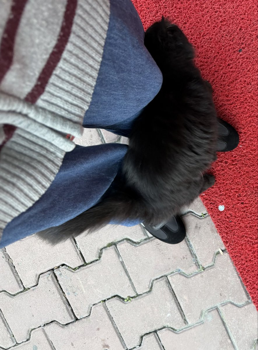 misslovde's tweet photo. my baby https://t.co/Er39fuYCQ1