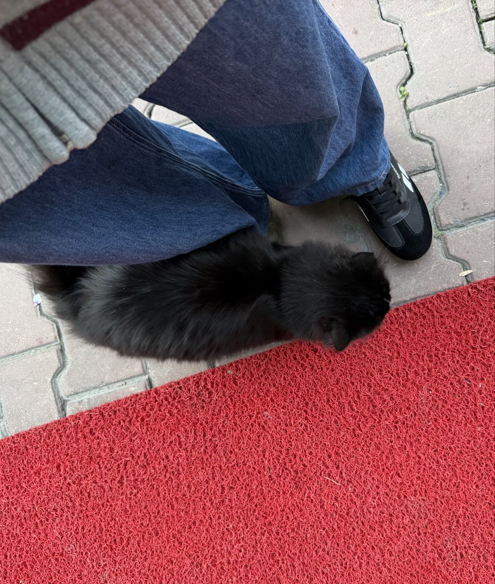 misslovde's tweet photo. my baby https://t.co/Er39fuYCQ1