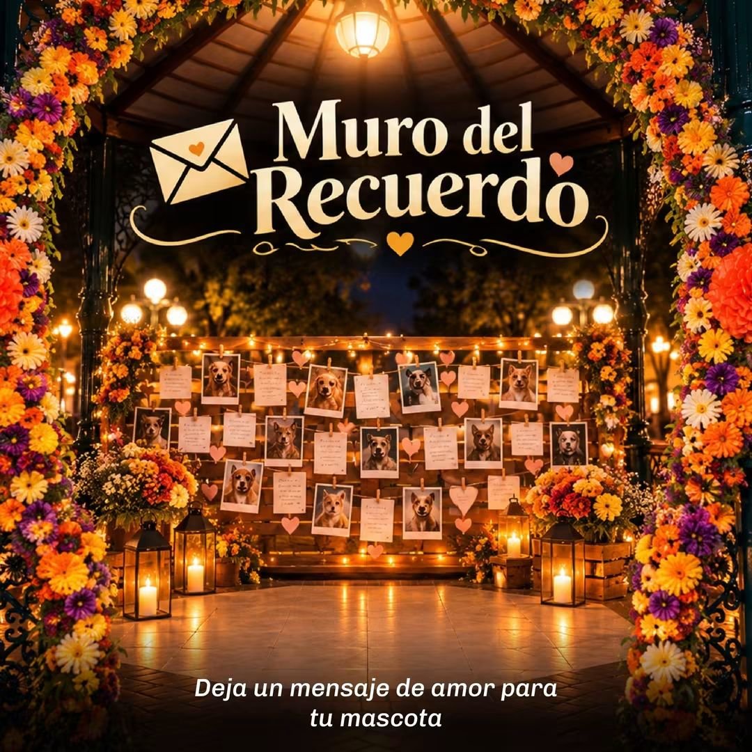 TechitoBruce's tweet photo. 🐾❤️ Vecinos, este 30 de octubre los invito a recordar con mucho cariño a esos compañeros que ya no están con nosotros, pero que nunca olvidaremos.

Hemos preparado actividades especiales como el Muro del Recuerdo, la llamada al cielo, una ceremonia de luz y cine para compartir en familia. 🕯️

📍 Plaza de Armas de Surco
🕔 5:00 p. m.

¡Los esperamos!

#SurcoEstáMejorYSeNota #CarlosBruce #TechitoBruce