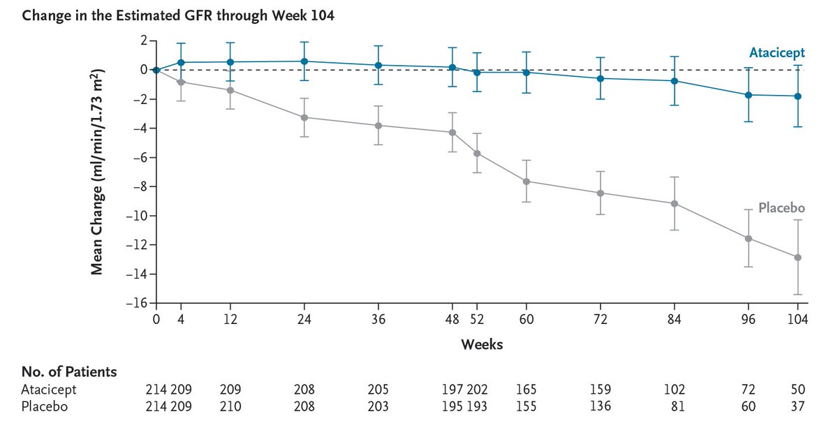 NEJM's tweet photo. Presented at #KidneyWk:

In patients with IgA nephropathy, atacicept, a human TACI–Fc fusion protein that modulates B-cell activity, slowed and stabilized the decline in the eGFR as compared with placebo. Full phase 3 ORIGIN 3 trial results: https://t.co/vNEvYf4Ao1 

@ASNKidney https://t.co/acpuziQj76