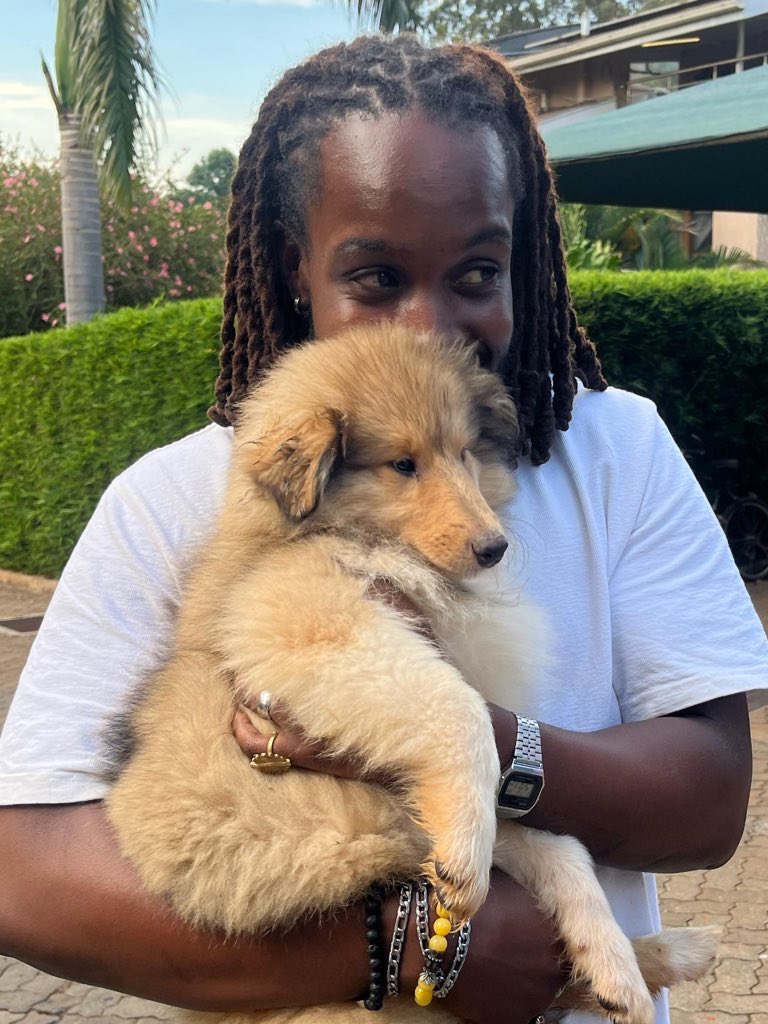 maufromnowhere's tweet photo. 1 year btw https://t.co/ogE0iaNPzM