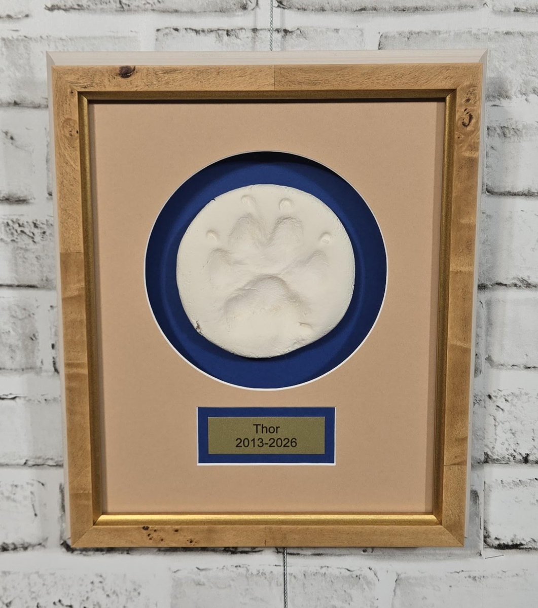 FrameDeArt's tweet photo. 📷 Man’s best friend deserves the very best! 📷 Thor’s special memories deserve framing that will last a lifetime. We used the finest glass and all acid-free materials to preserve these precious memories for years to come!

#Thor #DogPaw #Shadowbox #Dogs #MansBestFriend #Denver #Colorado #framing #customframing #pictureframing #art #decor #walldecor #milehighcity #cityofdenver #cityofEnglewood #shoplocal #shopsmall 

@TruVueGlazing