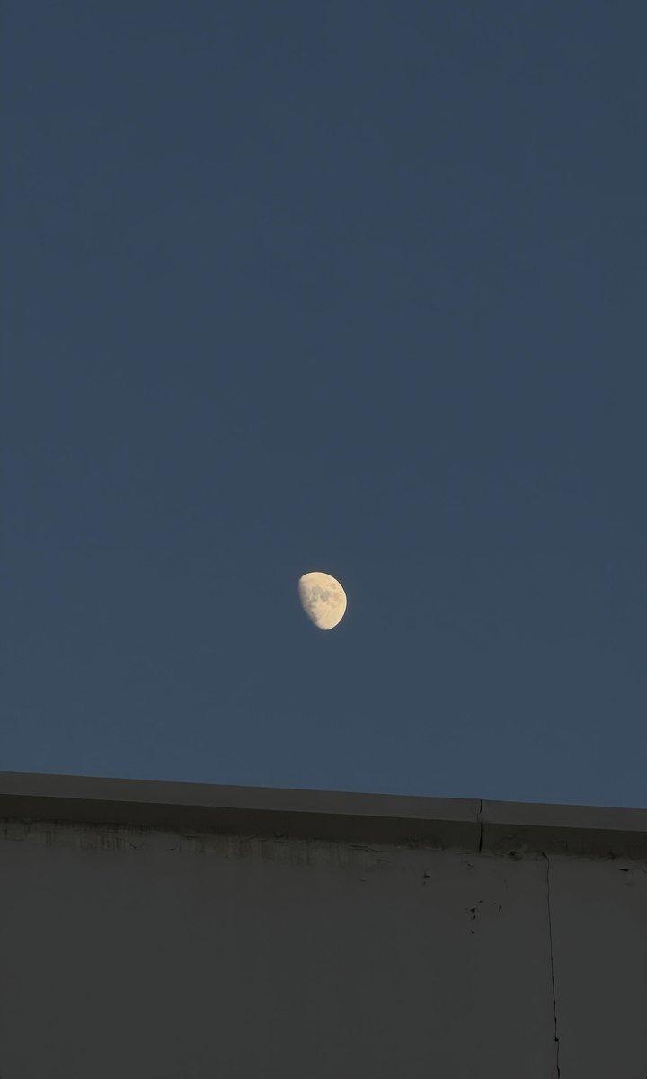 shavoawesome's tweet photo. the art of looking up https://t.co/P6KobEbzAu