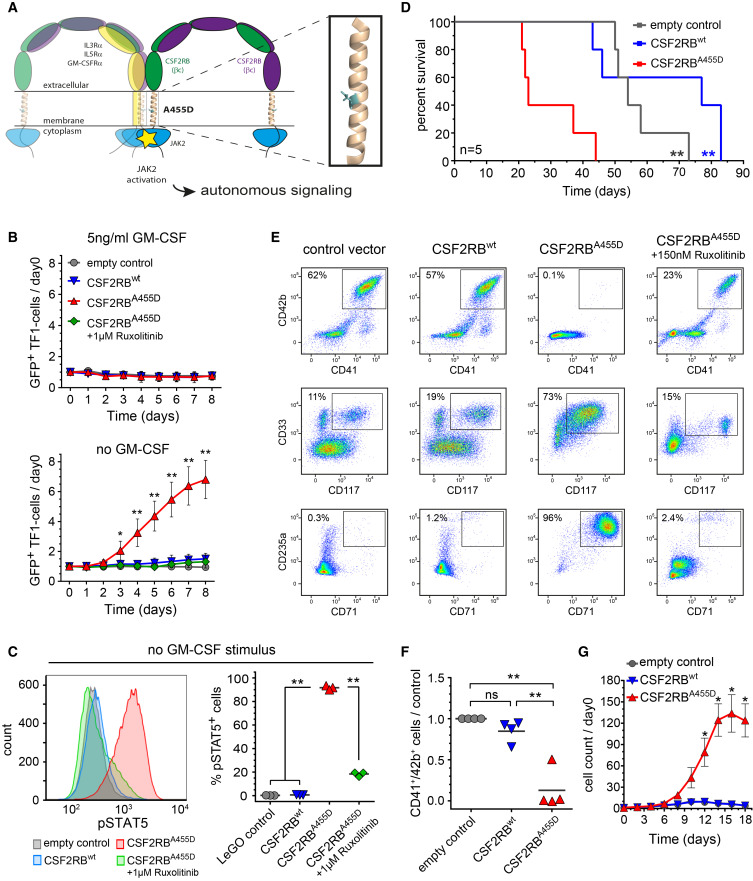 Cancer_Cell's tweet photo. Online Now: Mechanisms of Progression of Myeloid Preleukemia to Transformed Myeloid Leukemia in Children with Down Syndrome dlvr.​it/TW1X0z https://t.co/NYtn1AS3Wt