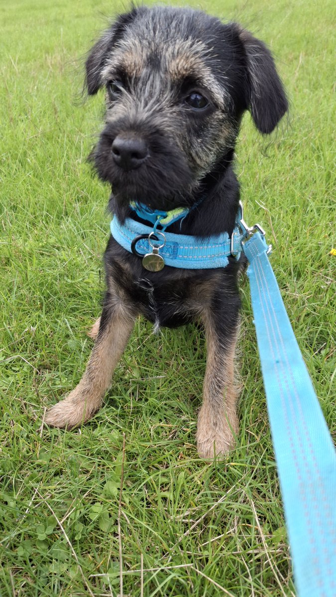 MollyPickleBT's tweet photo. #ThrowbackThursday 
When I was only a little MP 😊 https://t.co/IAbBth0gW5