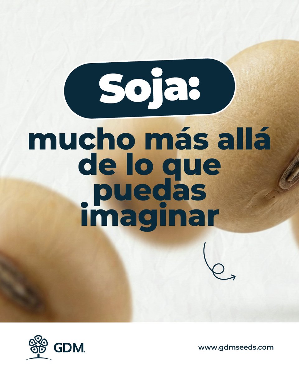 GDMSeeds's tweet photo. La soja es mucho más que un cultivo: es una cadena que impulsa alimentación, energía e industria.
 Cada avance en genética permite producir de manera más eficiente, estable y adaptada a los desafíos del campo. https://t.co/dnchwK7U6K