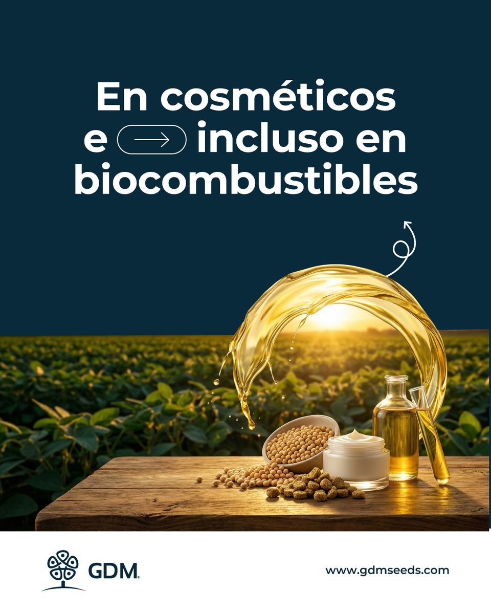 GDMSeeds's tweet photo. La soja es mucho más que un cultivo: es una cadena que impulsa alimentación, energía e industria.
 Cada avance en genética permite producir de manera más eficiente, estable y adaptada a los desafíos del campo. https://t.co/dnchwK7U6K