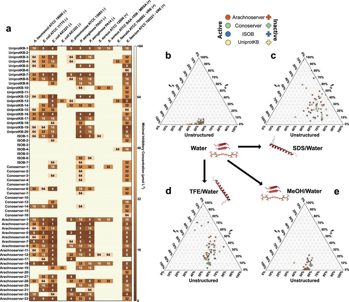 XFeltonX's tweet photo. Venom proteins can hide promising antibiotic starting points.

A 2025 study worth revisiting: Guan et al. used APEX deep learning to prioritize peptide fragments from 16,123 venom proteins. Of 58 selected peptides synthesized and tested, 53 inhibited at least one bacterial strain.

The experiments matter more than the search-space headline. Testing covered 11 bacterial strains; growth was measured after 24 hours at 37°C. Selected leads also reduced bacterial burden in a mouse skin-infection model following topical treatment.

My screening checklist: separate computational candidates, tested hits and animal evidence. Pair antibacterial potency with mammalian-cell toxicity and hemolysis measurements before choosing leads.

Important limits: the tested set was highly selected; some peptides were cytotoxic. Potential ion-channel effects still need experimental assessment. These are preclinical leads, with no demonstrated human efficacy or systemic safety.

Published 12 July 2025, Nature Communications (2025 JIF: 18.1).
https://t.co/Gpka9zJ1zw

Image 1: Guan et al., Fig. 2, DOI above. Uncropped and unaltered. CC BY 4.0: https://t.co/5FI8oXuMt7
Image 2: AI-generated concept illustration, not microscopy.