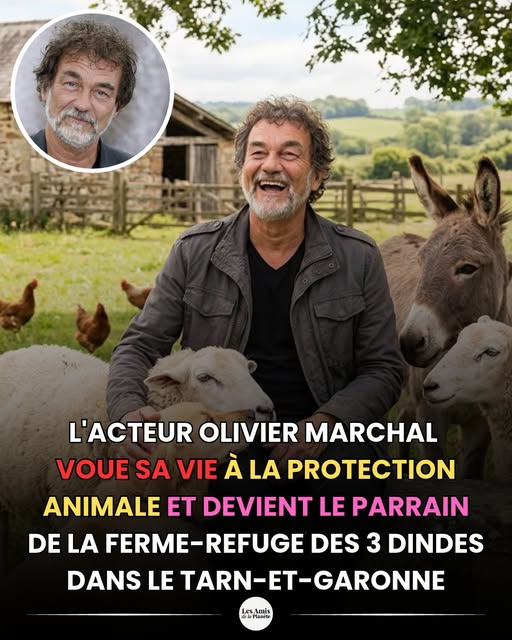 Loovenelle's tweet photo. Lutte contre la maltraitance animale : l'acteur et réalisateur Olivier Marchal s'engage concrètement en Tarn-et-Garonne. Depuis septembre 2026, il parraine officiellement la ferme-refuge des 3 Dindes située à L'Honor-de-Cos. 
.../.. https://t.co/3HARxIgU99