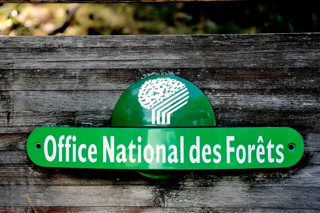 Senat's tweet photo. 🔴 Le Sénat a adopté la proposition de loi relative aux modalités de recouvrement des contributions versées à l'Office national des forêts (ONF) et à la composition de son conseil d'administration

🔗 En savoir plus : https://t.co/4t3VgMNgeJ

@Dominiq_Estrosi Marie-Lise Housseau https://t.co/oANMPRxPLt