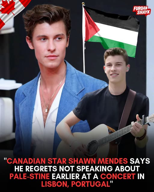 LilyFayed's tweet photo. All celebrities are supporting Palestine every day. https://t.co/jDLnB7EYS6