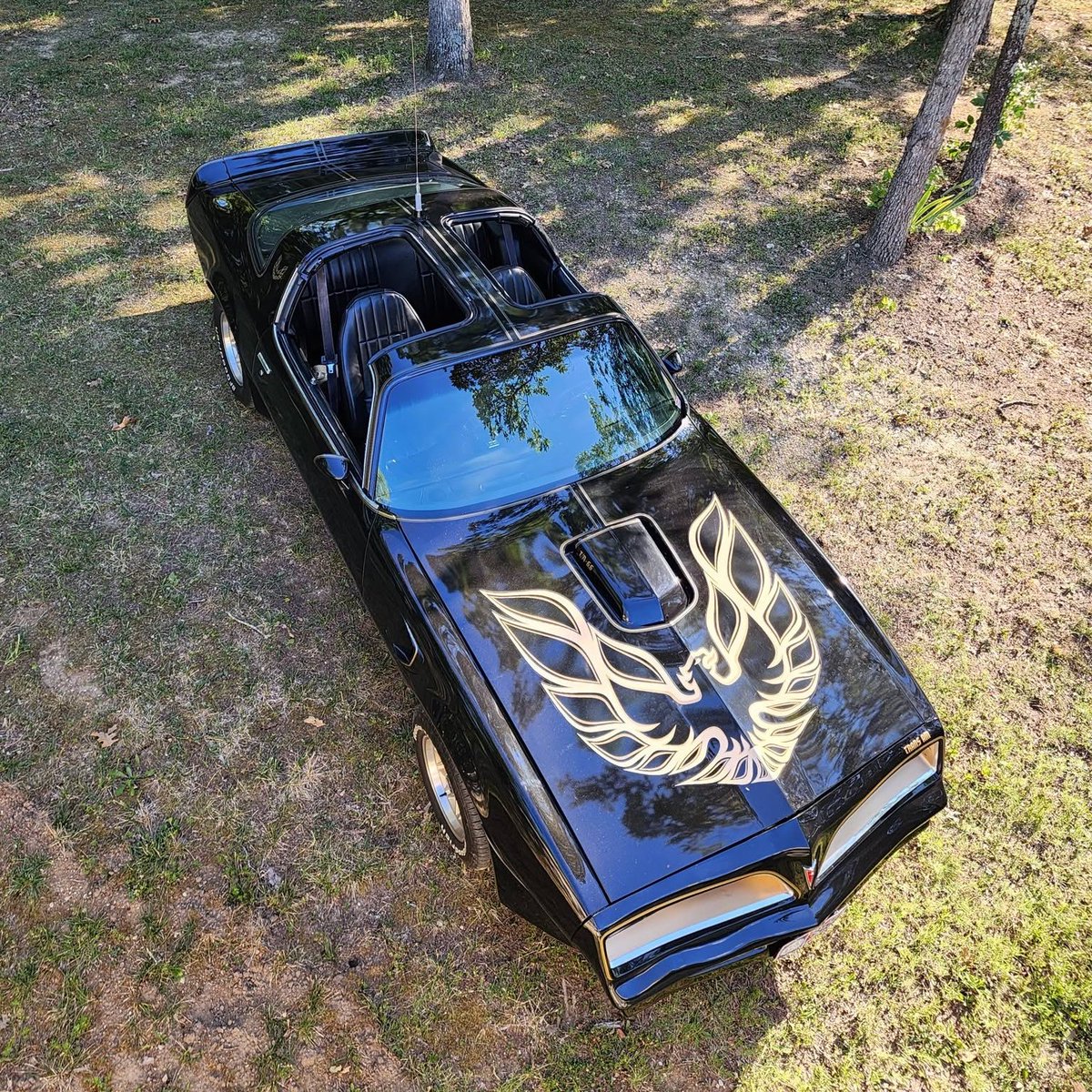 FloridaTransAM's tweet photo. Photo credit unknown
But nice job to the lucky owner ! https://t.co/32wJaqRSFP