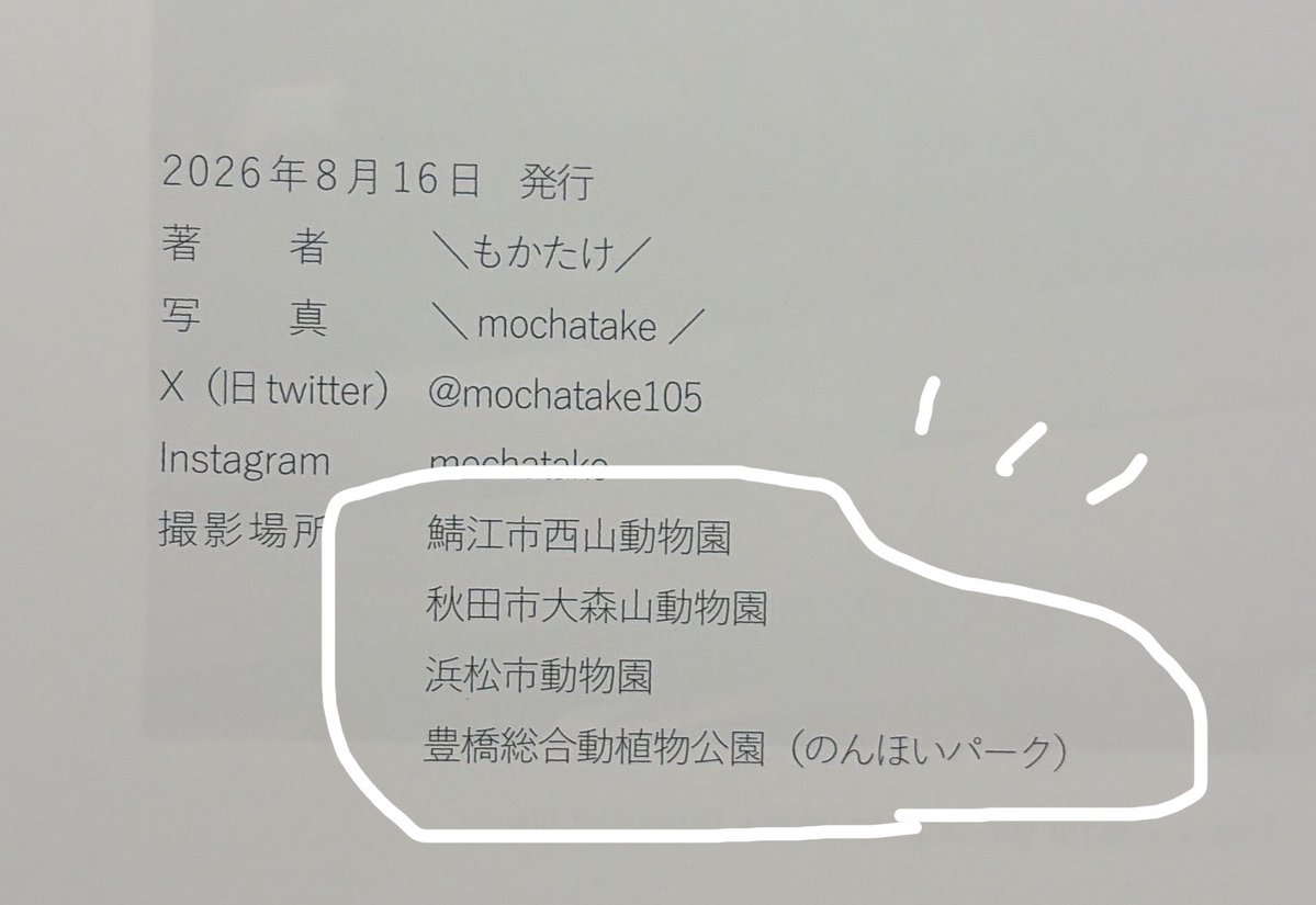 RedPanda_nya's tweet photo. どのページもよくて、とても1つに決めきれなかった新刊…あえて言うならもかたけさんの撮ったモッチーを見てタイトルを読んで、ぐっときました🥲✨
「レッサーパンダが好き」の目線がぎゅっと表れていて、最&amp;高です！
#レッサーパンダ #鯖江市西山動物園 #レッサーパンダ写真集 #LesserColor https://t.co/xjfVflCRzc