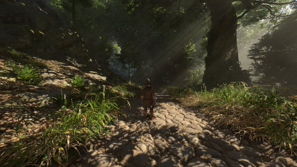 AzmoLIVE's tweet photo. Man why is Enshrouded so pretty https://t.co/CHVZjG5S1N