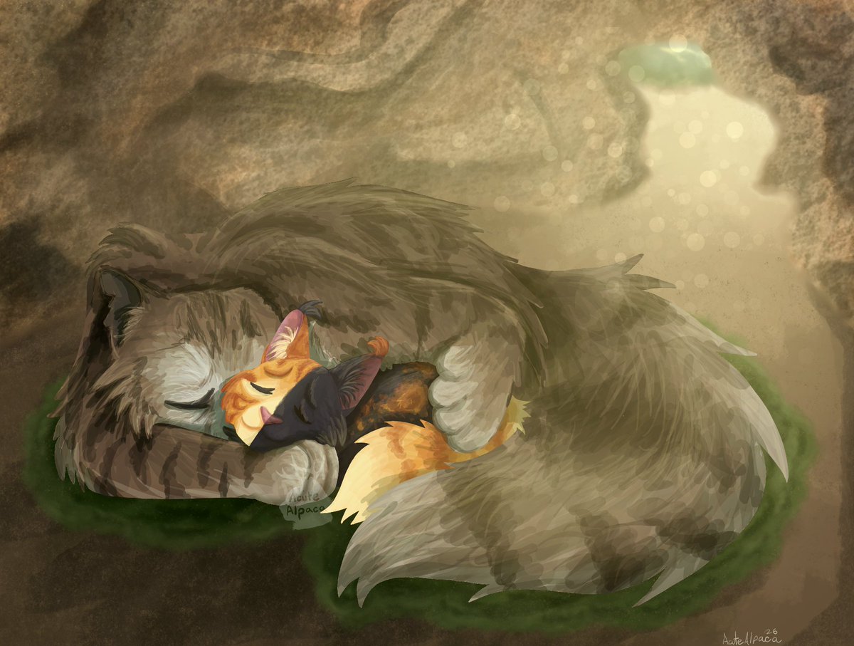 AlpacaAcute's tweet photo. Brambleclaw's Final Morning https://t.co/njDufMtDrM