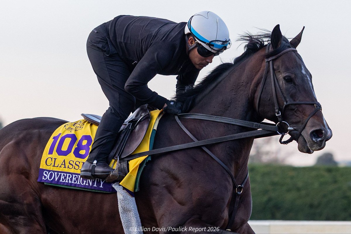 paulickreport's tweet photo. Golden Tempo and Sovereignty galloped at Keeneland this morning in preparation for the Breeders' Cup Classic. 

Both dual classic winners, they will be the first Kentucky Derby winners to compete against one another since 1991.

📸 Lillian Davis photos https://t.co/I4zP6bySAy