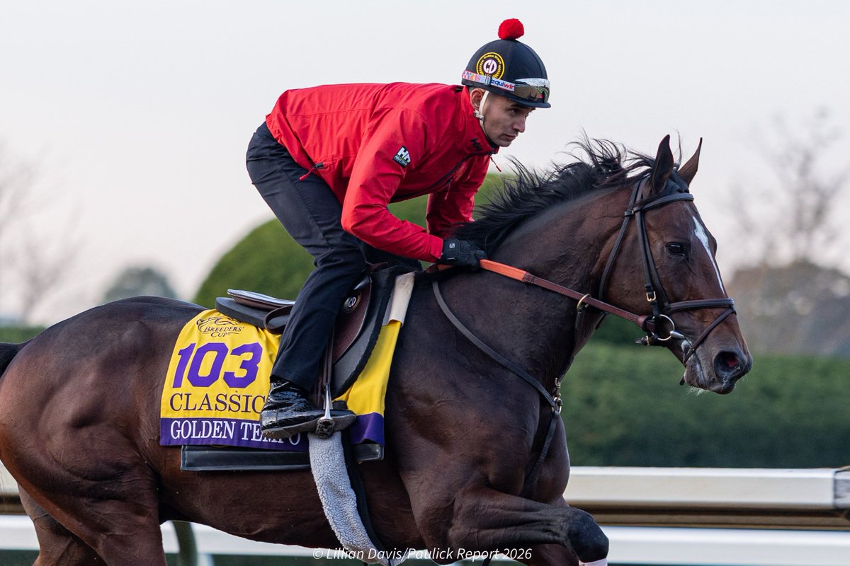 paulickreport's tweet photo. Golden Tempo and Sovereignty galloped at Keeneland this morning in preparation for the Breeders' Cup Classic. 

Both dual classic winners, they will be the first Kentucky Derby winners to compete against one another since 1991.

📸 Lillian Davis photos https://t.co/I4zP6bySAy