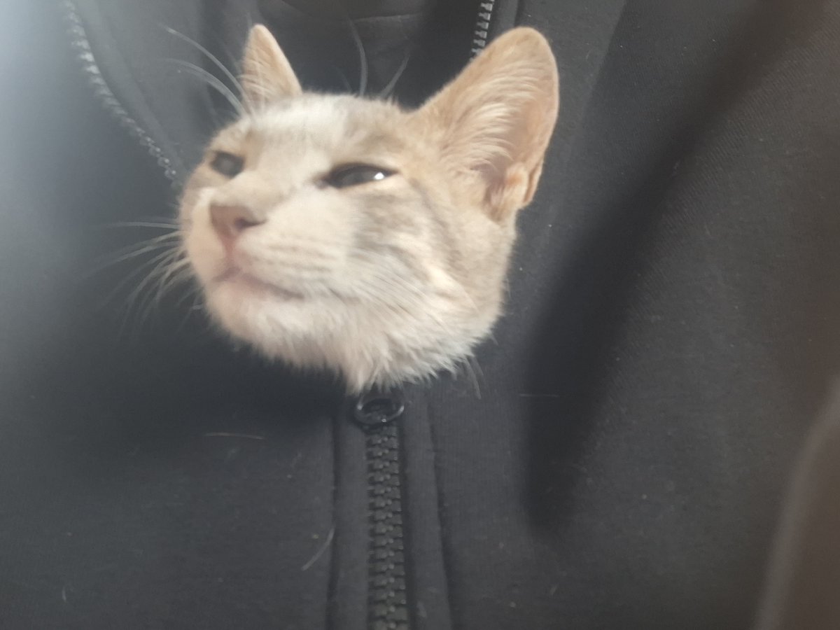 RYTHMPSYCHOSIS's tweet photo. He dont got a damn clue about anything https://t.co/SAkfmU1Doq