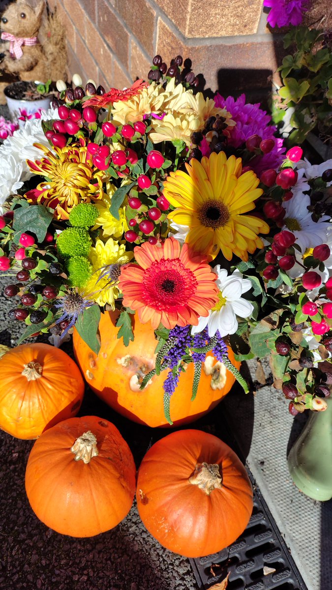 Nature_Lens1's tweet photo. My #FlowersOnThursday https://t.co/ZVQSpCnwEd