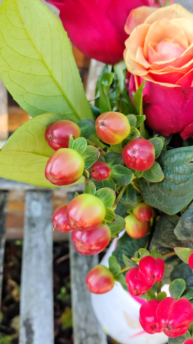Nature_Lens1's tweet photo. My #FlowersOnThursday https://t.co/ZVQSpCnwEd