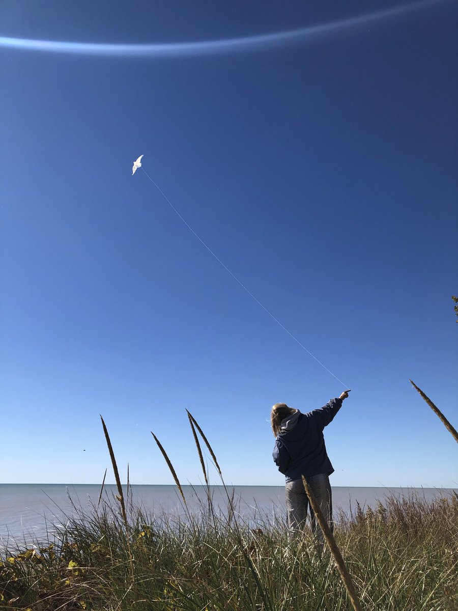 echrepairs's tweet photo. Flew a kite over the dunes in the same wind that carries the monarchs across Lake Erie. Been meaning to fly that kite for 13 years https://t.co/yTgdGzhpwr
