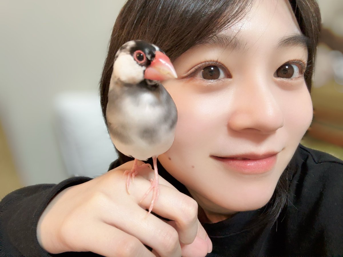 Yuki_Nakashim's tweet photo. 無事にかわいいちゅんちゅん撮れました
おやすみなさい😴💤
#ゆきすと https://t.co/hov4DTqFJe
