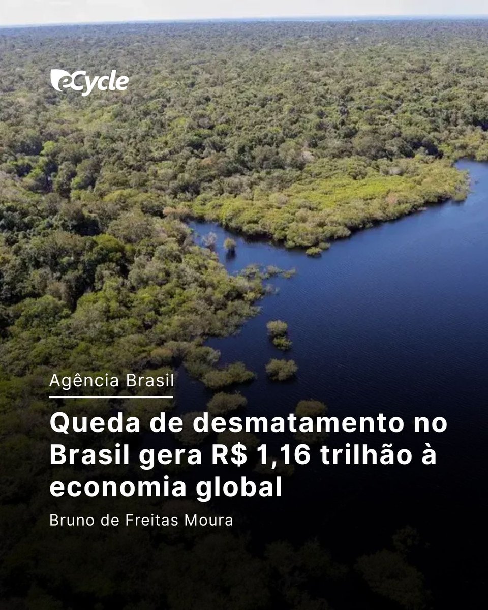 eCycleBr's tweet photo. A redução do desmatamento na Amazônia brasileira e no Cerrado desde 2023 pode ter rendido ganhos de cerca de R$ 1,16 trilhão para a economia mundial https://t.co/CbpXY0VUG7