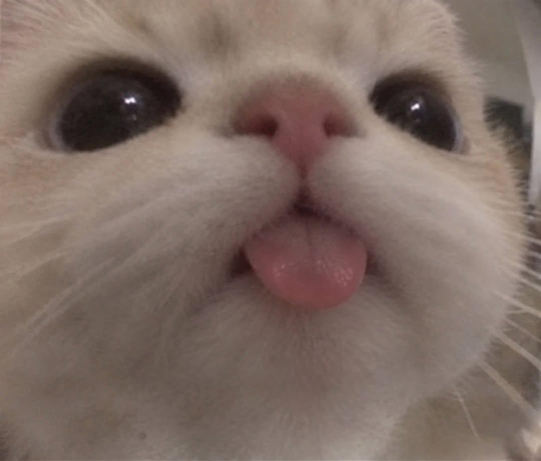 godxfjm's tweet photo. แบ่ แบ่ น่ากัวเป่า                     ตกใจหมด มากอดผมเนยน้า https://t.co/Sdz5fweMNH