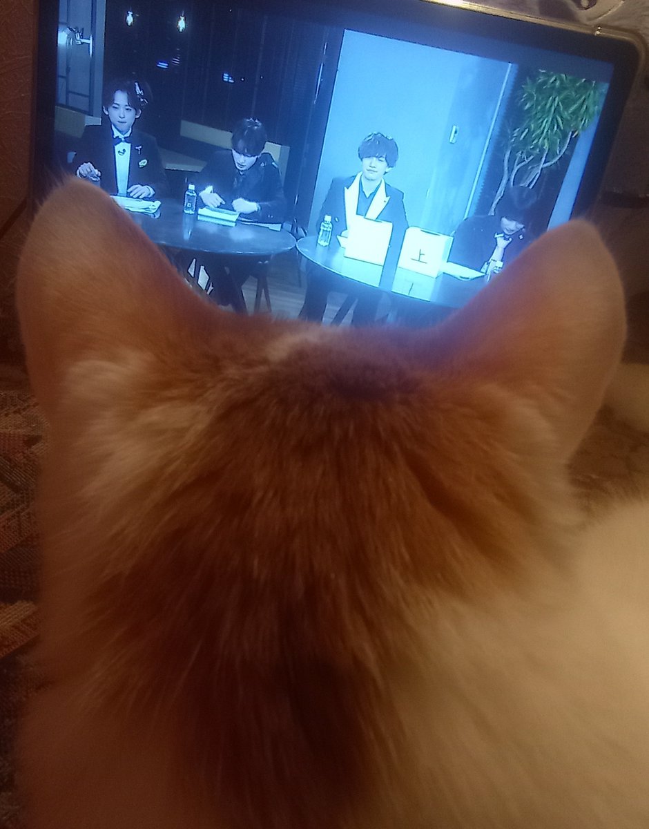 6otatochip's tweet photo. he insisted on watching together https://t.co/R0ub2ZPe1i