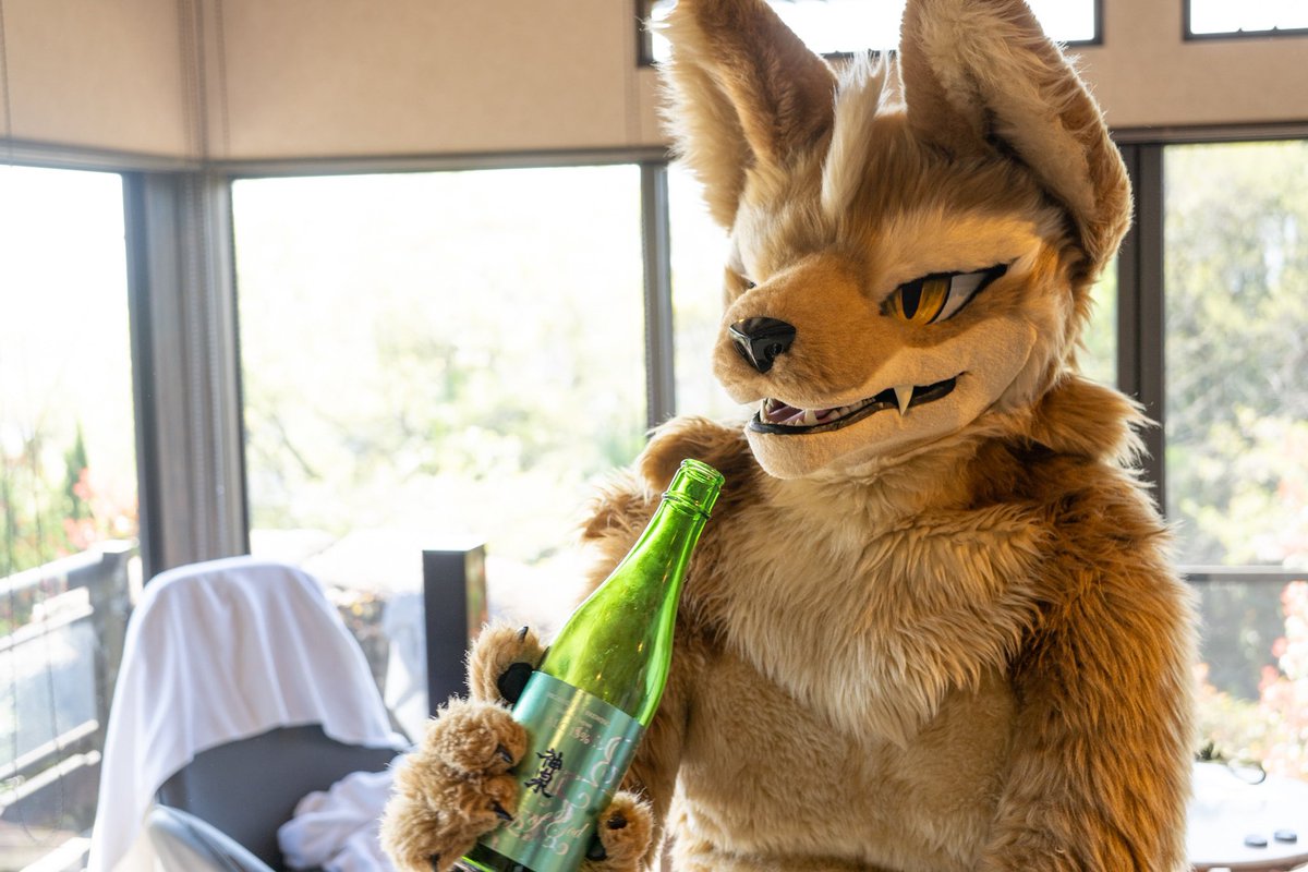 ten_bite's tweet photo. #FursuitFriday 

週末だもの！飲むしかない！！ https://t.co/Ta9SyVlJNt