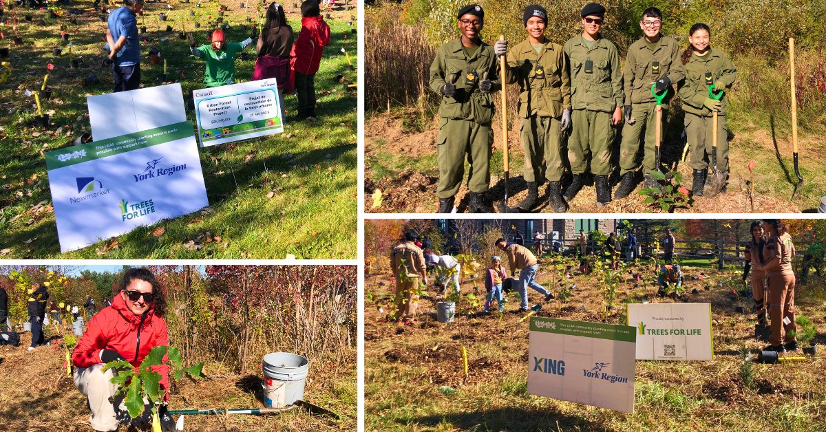 leaf's tweet photo. 🌱 What a wonderful weekend of planting! Thanks to everyone who joined us at Bluff Trail in Nobleton and at Audrie Sanderson Park in Newmarket to plant native trees and shrubs and support local biodiversity. 🌳 https://t.co/PUlofNM8wX