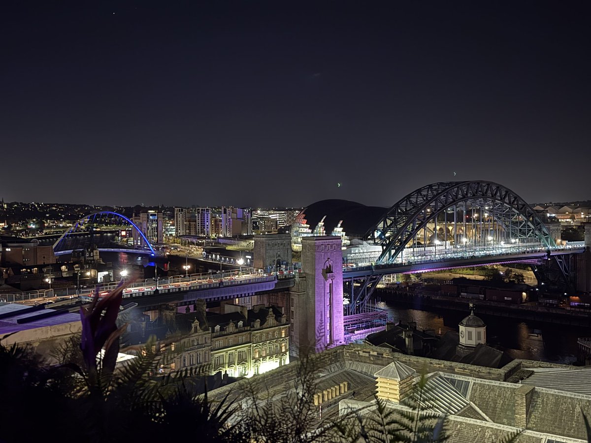 The Tyne Bridge and the Millennium Bridge at night https://t.co/7N0HzMg5Pq