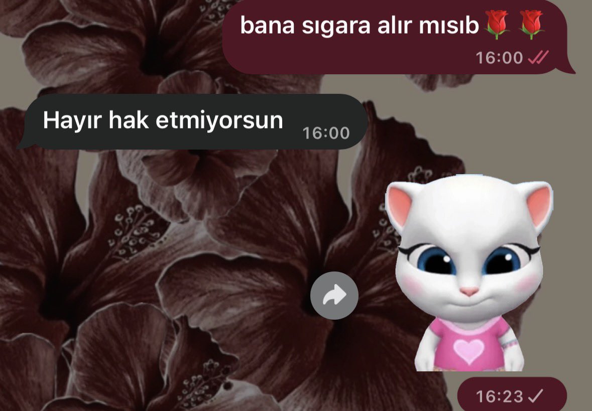 musikarkusu's tweet photo. sırf mucver yaptım dıye ha https://t.co/WMkfRpVtHu