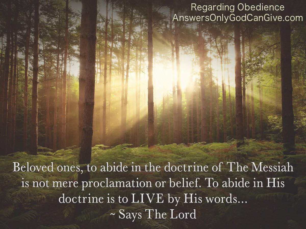 TrustinYahuShua's tweet photo. From The Lord, Our God and Savior ✉️
"Abide in the Doctrine of The Messiah"
https://t.co/LHbdsZyiIw
#TheVolumesofTruth #TrumpetCallofGod #Prophecy #YAHUWAH #YahuShua #TheMessiah #Faith #Obedience #Doctrine #Example #Righteousness #Love #God #Wisdom #Father https://t.co/LxvmEHN0eJ
